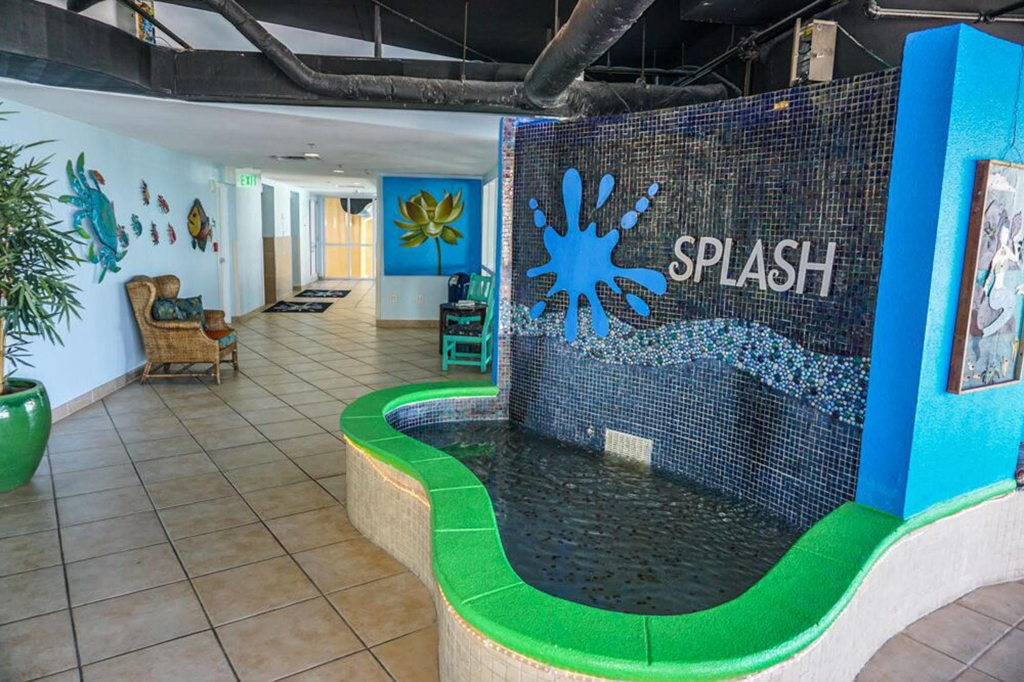 Splash